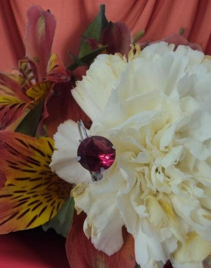 Couleur de la pierre du mois de Janvier